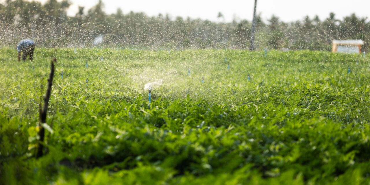 Farming under expanding rules