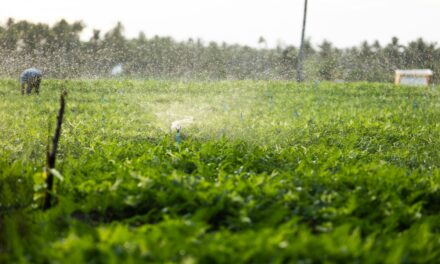 Farming under expanding rules