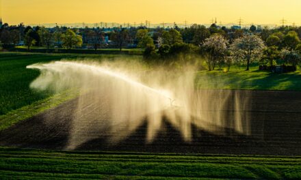 Biological Boom: R600M Chemical-Free Future for Western Cape Farms